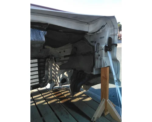 FREIGHTLINER CASCADIA 113 HOOD