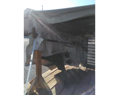 FREIGHTLINER CASCADIA 113 HOOD