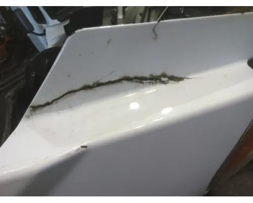 FREIGHTLINER CASCADIA 113 HOOD