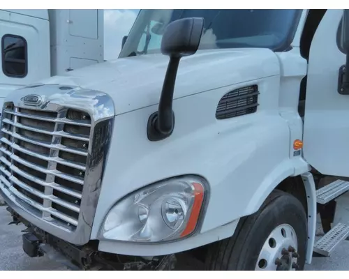 FREIGHTLINER CASCADIA 113 HOOD