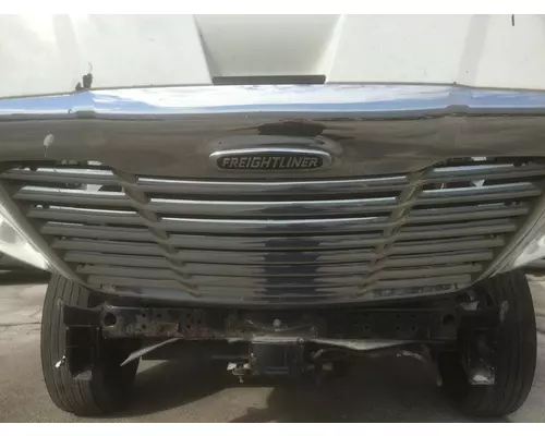 FREIGHTLINER CASCADIA 113 HOOD