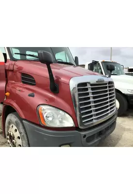 FREIGHTLINER CASCADIA 113 HOOD