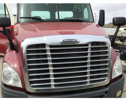 FREIGHTLINER CASCADIA 113 HOOD