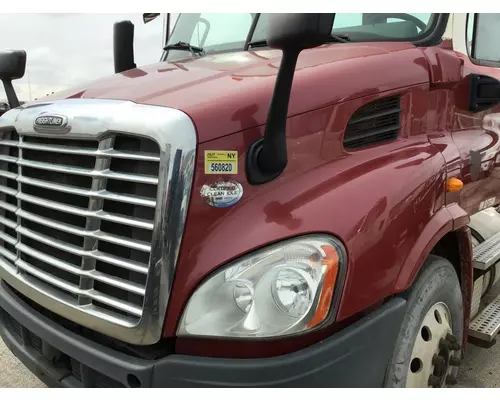 FREIGHTLINER CASCADIA 113 HOOD