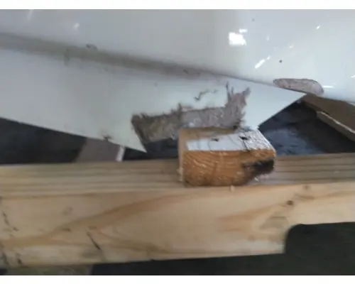 FREIGHTLINER CASCADIA 113 HOOD