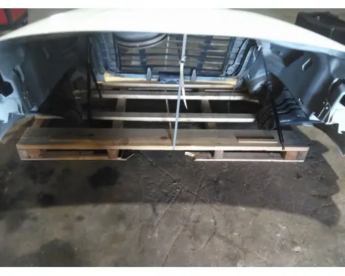 FREIGHTLINER CASCADIA 113 HOOD