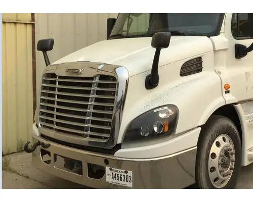 FREIGHTLINER CASCADIA 113 HOOD