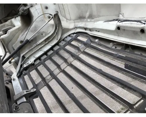 FREIGHTLINER CASCADIA 113 HOOD