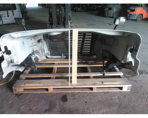 FREIGHTLINER CASCADIA 113 HOOD