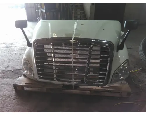 FREIGHTLINER CASCADIA 113 HOOD
