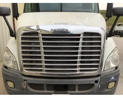 FREIGHTLINER CASCADIA 113 HOOD