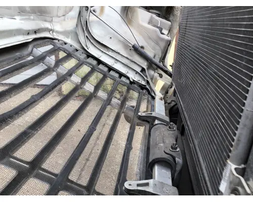 FREIGHTLINER CASCADIA 113 HOOD