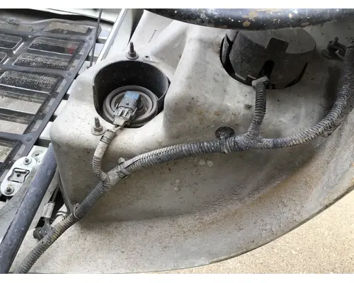 FREIGHTLINER CASCADIA 113 HOOD