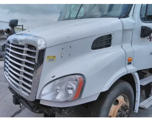 FREIGHTLINER CASCADIA 113 HOOD