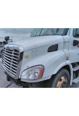 FREIGHTLINER CASCADIA 113 HOOD