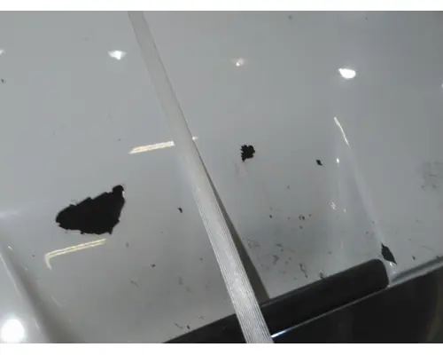 FREIGHTLINER CASCADIA 113 HOOD