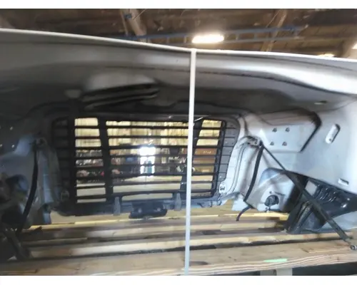 FREIGHTLINER CASCADIA 113 HOOD