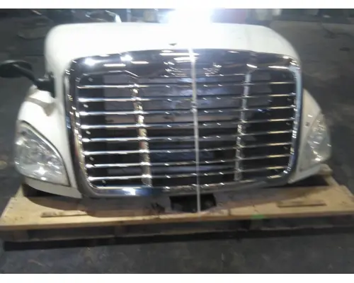 FREIGHTLINER CASCADIA 113 HOOD