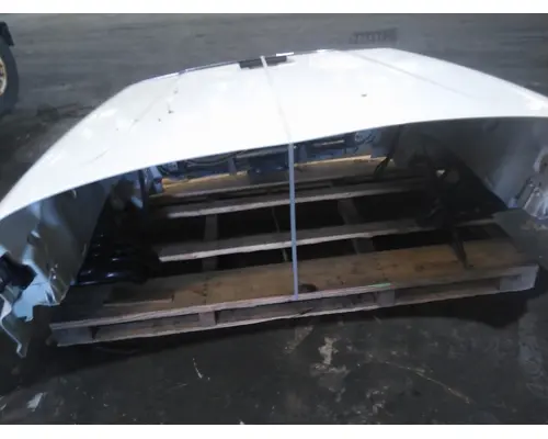 FREIGHTLINER CASCADIA 113 HOOD