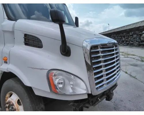 FREIGHTLINER CASCADIA 113 HOOD