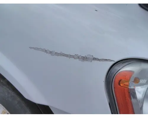 FREIGHTLINER CASCADIA 113 HOOD