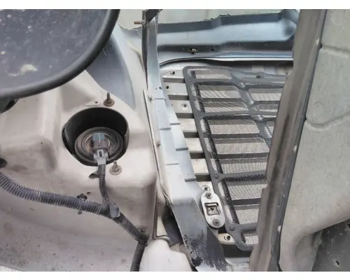 FREIGHTLINER CASCADIA 113 HOOD