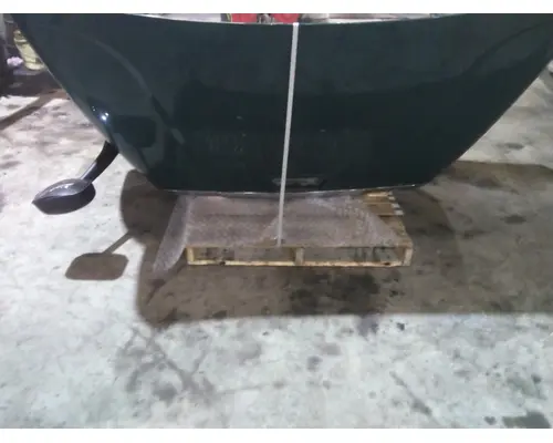 FREIGHTLINER CASCADIA 113 HOOD