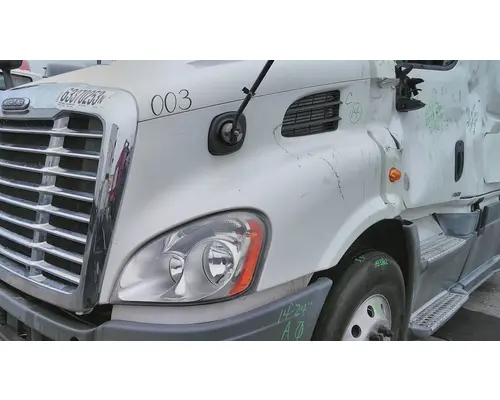 FREIGHTLINER CASCADIA 113 HOOD