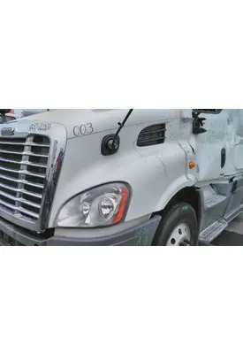 FREIGHTLINER CASCADIA 113 HOOD