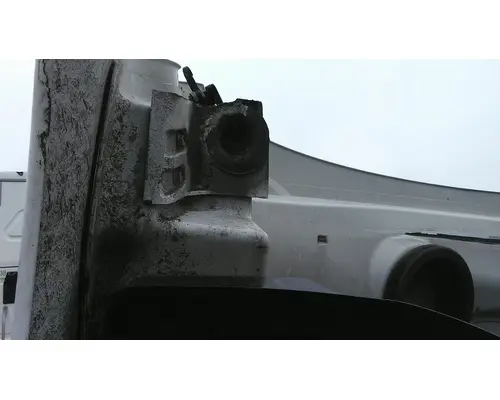 FREIGHTLINER CASCADIA 113 HOOD