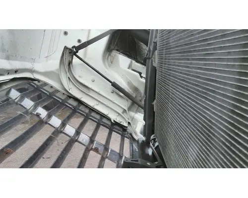 FREIGHTLINER CASCADIA 113 HOOD