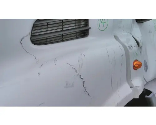 FREIGHTLINER CASCADIA 113 HOOD