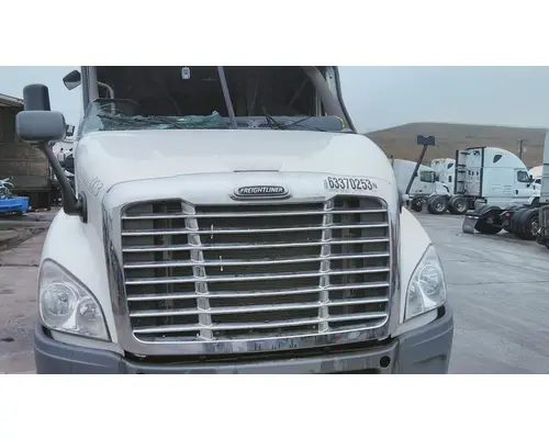 FREIGHTLINER CASCADIA 113 HOOD
