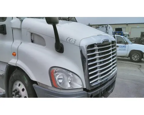 FREIGHTLINER CASCADIA 113 HOOD