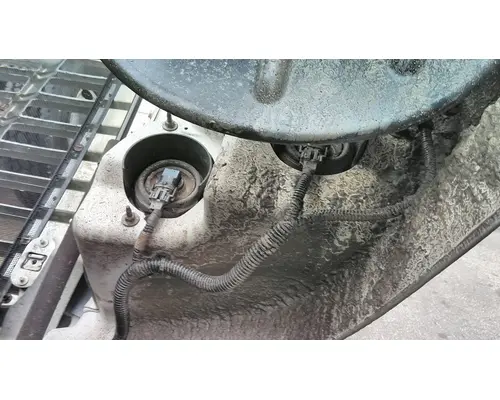 FREIGHTLINER CASCADIA 113 HOOD