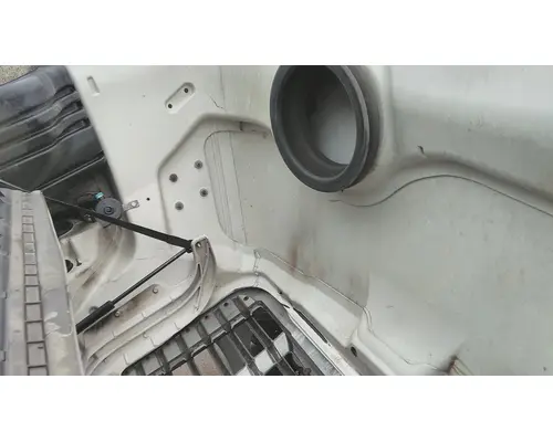 FREIGHTLINER CASCADIA 113 HOOD