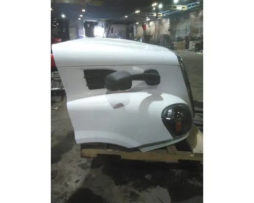 FREIGHTLINER CASCADIA 113 HOOD