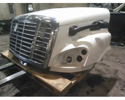FREIGHTLINER CASCADIA 113 HOOD