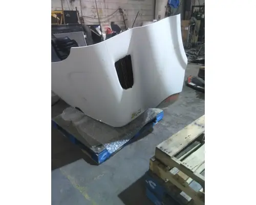 FREIGHTLINER CASCADIA 113 HOOD
