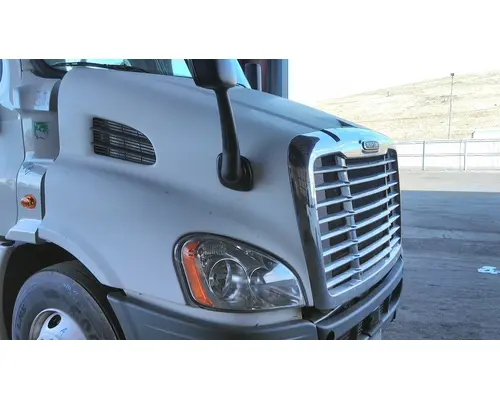 FREIGHTLINER CASCADIA 113 HOOD