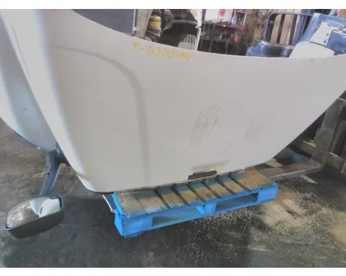 FREIGHTLINER CASCADIA 113 HOOD