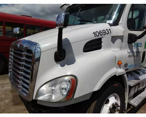 FREIGHTLINER CASCADIA 113 HOOD