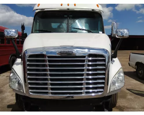 FREIGHTLINER CASCADIA 113 HOOD