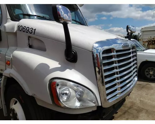 FREIGHTLINER CASCADIA 113 HOOD