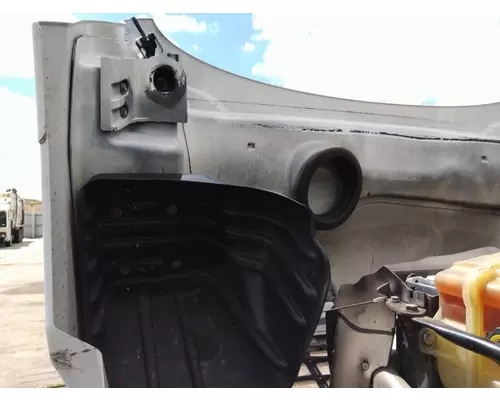 FREIGHTLINER CASCADIA 113 HOOD