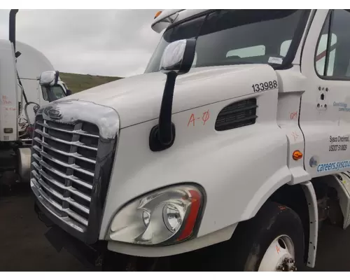 FREIGHTLINER CASCADIA 113 HOOD