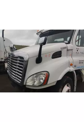 FREIGHTLINER CASCADIA 113 HOOD