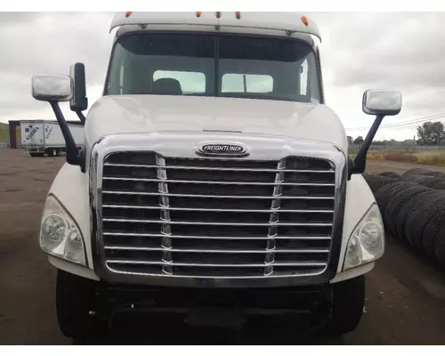 FREIGHTLINER CASCADIA 113 HOOD