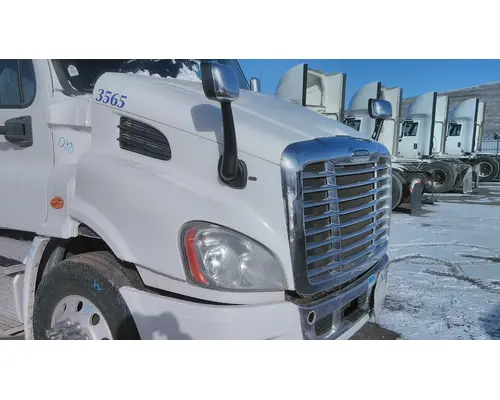 FREIGHTLINER CASCADIA 113 HOOD