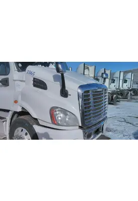 FREIGHTLINER CASCADIA 113 HOOD